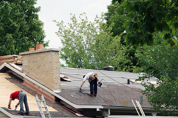 Best Local Roofing Companies  in Campbellsport, WI