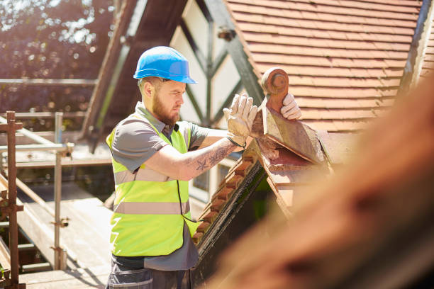Best Roof Gutter Cleaning  in Campbellsport, WI