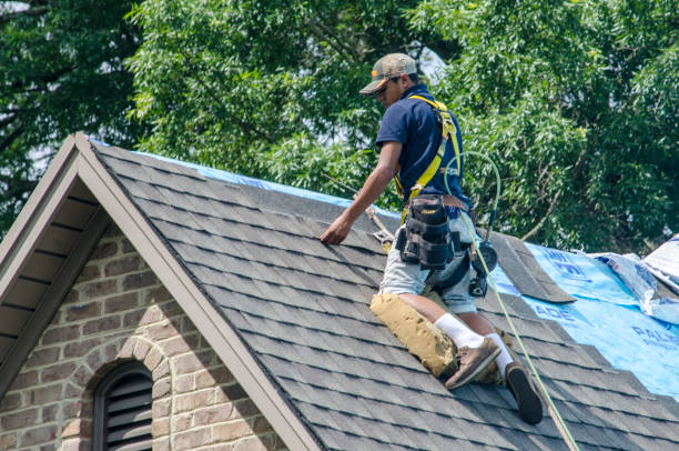 Best Roof Leak Repair  in Campbellsport, WI